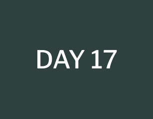 day 17