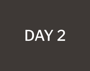 day 2