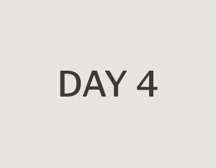 day 4 